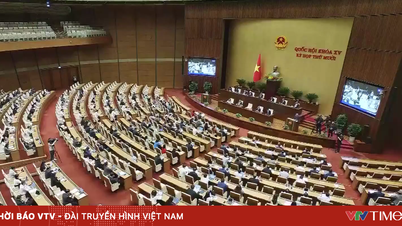 ລະບຽບ​ການ​ກ່ຽວ​ກັບ​ຄວາມ​ຮັບ​ຜິດ​ຊອບ ​ແລະ ພູມ​ປັນຍາ​ຂອງ​ບັນດາ​ຜູ້​ແທນ​ສະພາ​ແຫ່ງ​ຊາດ