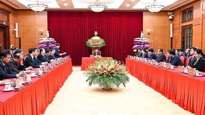 Standing member of the Secretariat Tran Cam Tu received a delegation of high-ranking officials of the Lao People's Revolutionary Party.