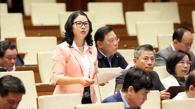 তিনটি জাতীয় লক্ষ্য কর্মসূচি একীভূত করা: মূলধন উৎসের প্রতি মনোযোগ দেওয়া