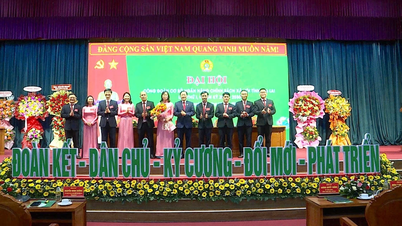 تم تعيين السيد دينه فان نجيا لشغل منصب رئيس نقابة العمال في فرع مقاطعة جيا لاي لبنك السياسة الاجتماعية.