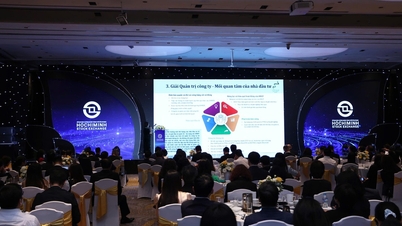 ثلاث شركات مدرجة في بورصة HOSE برأس مال يزيد عن 10 مليار دولار أمريكي