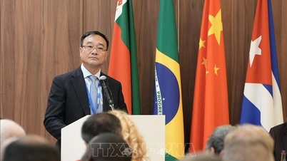 베트남, 브릭스의 테러리즘 퇴치에 기여