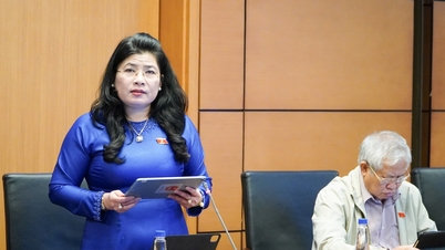 ອັດຕາການປະກອບສ່ວນງົບປະມານທ້ອງຖິ່ນຂອງ 33% ແມ່ນໃຫຍ່ເກີນໄປ.