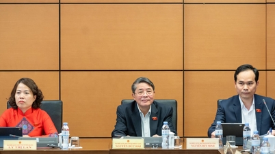 Резолюція Національних зборів є одночасно можливістю та відповідальністю для Дананга.