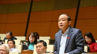 Делегат Національних зборів Ла Тхань Тан. Більш ретельно вирішити питання оцінки землі та різниці порівняно з ринковою ціною.