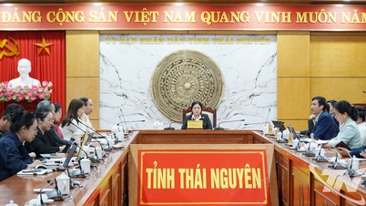 Finalizarea rapidă a pregătirilor pentru Festivalul „Thai Nguyen - Parfumul și culoarea faimosului ceai”