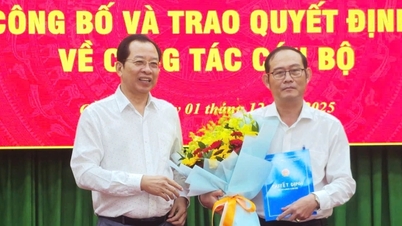 Adjunct-directeur van de afdeling Financiën als waarnemend voorzitter van Soc Trang Lottery Company