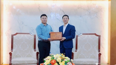 Perusahaan Tiongkok berencana membangun kompleks manufaktur kendaraan bermotor skala besar di Thai Nguyen