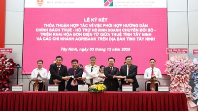 កិច្ចសហប្រតិបត្តិការក្នុងការផ្លាស់ប្តូរឌីជីថល និងវិក្កយបត្រអេឡិចត្រូនិកសម្រាប់គ្រួសារអាជីវកម្មនៅ Tay Ninh