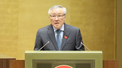 4 puntos brillantes típicos en la implementación de 16 Resoluciones de la Asamblea Nacional sobre supervisión temática y cuestionamiento