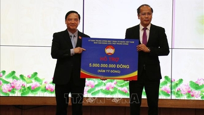 قومی اسمبلی کے وائس چیئرمین Nguyen Khac Dinh نے سیلاب کی بحالی کے کام کے بارے میں Khanh Hoa کا دورہ کیا۔