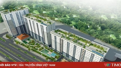 ຮ່າ​ໂນ້ຍ ເປີດ​ຮ້ານ​ຂາຍ​ເຮືອນ​ຢູ່​ສັງ​ຄົມ​ນັບ​ພັນ​ຊຸດ