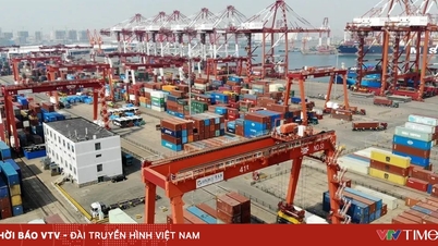 9 ວິສາຫະກິດຍີ່ປຸ່ນຟ້ອງລັດຖະບານສະຫະລັດກ່ຽວກັບພາສີເຊິ່ງກັນແລະກັນ