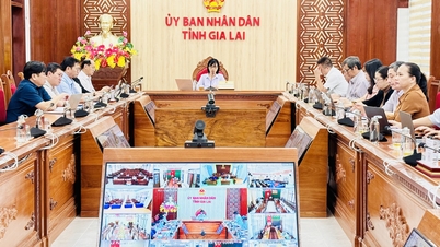 Steering Committee for the implementation of social insurance and health insurance policies summarizes tasks for 2025