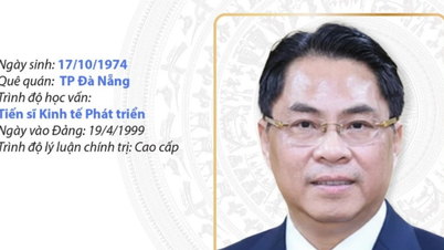 كاو بانج: تم تعيين الرفيق فان ثانغ آن لشغل منصب السكرتير الإقليمي للحزب