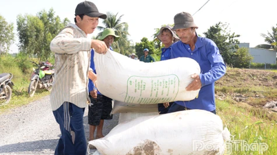 អង្ករឡើងថ្លៃទៀតហើយ