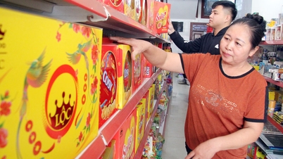 Luc Nam ទាញយកអត្ថប្រយោជន៍ អភិវឌ្ឍពាណិជ្ជកម្ម និងសេវាកម្ម