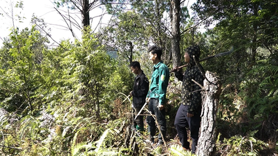 숲으로의 푸르름으로의 복귀 여행