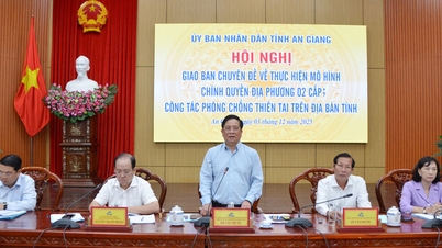 Conferencia temática sobre la implementación del modelo de gobierno local de dos niveles y el trabajo de prevención y control de desastres