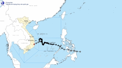 ដំណឹងចុងក្រោយស្តីពី ខ្យល់ព្យុះត្រូពិច ចុះខ្សោយពីព្យុះលេខ ១៥