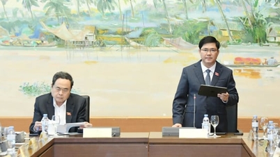 Asignación flexible de recursos, apoyo a zonas desfavorecidas