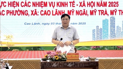 رئيس مقاطعة دونج ثاب يوضح كيفية حل الصعوبات التي تواجهها البلديات والأحياء