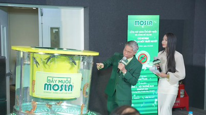 Mosla sumbang 1.000 perangkap nyamuk dalam kampanye "hijau" cegah demam berdarah