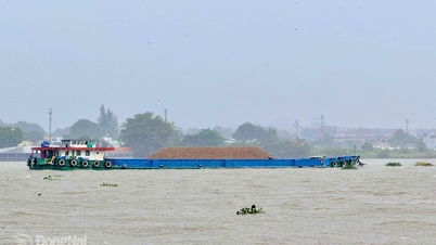 Dong Nai Nehri'nin alt kesimlerinde sel ve gelgit uyarısı