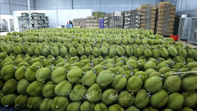 Hanoi opens Safe Fruit and Agricultural Products Fair 2025