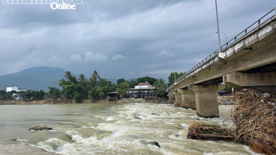 Presa temporal de agua salada de Xuan Phong: propuesta de eliminación para garantizar el drenaje de las inundaciones