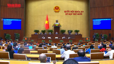 [Video] More than 96% of cases related to land planning, management and use have been resolved.