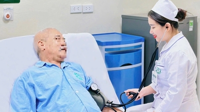 Nursing staff are the "hands and heart" of the hospital.