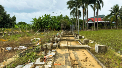 إصلاح الأضرار الناجمة عن الكوارث الطبيعية على وجه السرعة في اثنين من الآثار الوطنية: معبد ترينه فونج ومعبد ديان خانه للأدب