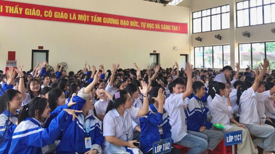 Když je generace Z „dobrá ve vědomostech a silná v dovednostech“