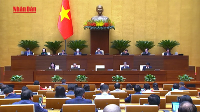 [Video] Focus on thematic audits and hot areas of interest to voters