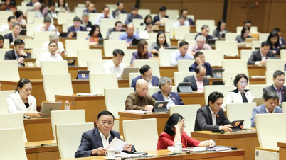 Ngày 4-12: Truyền hình trực tiếp phiên thảo luận về công tác nhiệm kỳ 2021-2026 của Chủ tịch nước, Chính phủ, Quốc hội