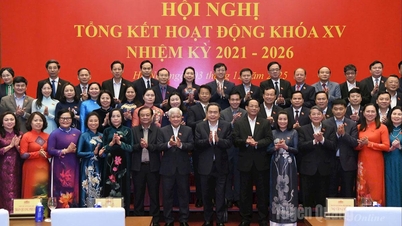 Chefe da Delegação Provincial de Deputados da Assembleia Nacional, Ly Thi Lan: Deputados locais da Assembleia Nacional - uma ponte, expandindo, trazendo o sopro da vida ao parlamento.