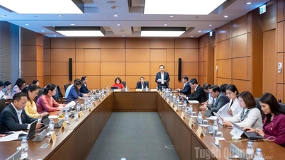 Zintegrowanie 3 krajowych programów docelowych w celu skupienia zasobów inwestycyjnych