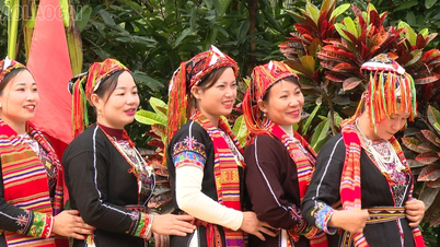 Cuando la familia es la base: La fuerza duradera del movimiento para construir vida cultural