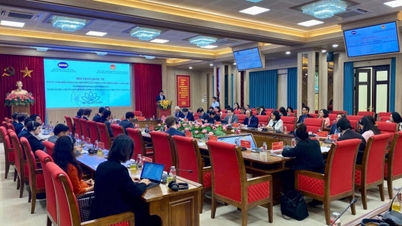 베트남은 적극적으로 게임의 규칙을 만들고 다자간 포럼에서 공동의 미래를 형성하는 데 기여하고 있습니다.