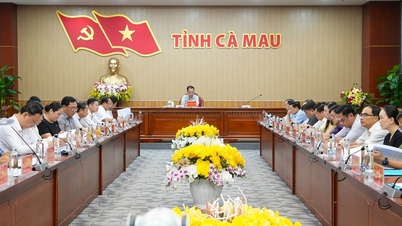 Reunião da Comissão Eleitoral para os deputados da 16ª Assembleia Nacional e dos Conselhos Populares Provinciais, mandato 2026-2031.