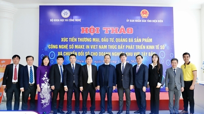 MISA зарекомендовал себя благодаря решениям в области цифровой трансформации, которые помогают предприятиям Северо-Западного региона повысить производительность в 10 раз