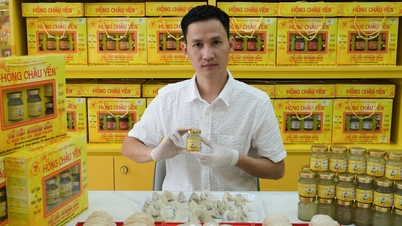 La persona que lleva el nido de pájaro de An Giang a todas partes