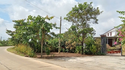 Tra Tan daha fazla endüstriye sahip olduğunda