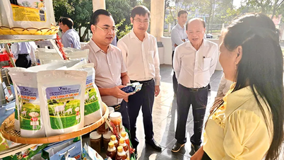 Tan Hoa strebt eine Wertschöpfungskettenproduktion an