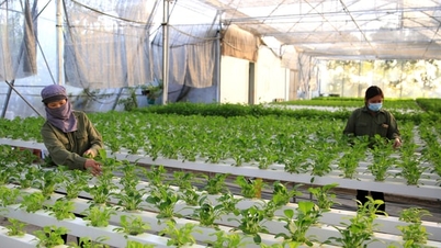 Notícia especial no jornal Hanoi Moi em 4 de dezembro de 2025.