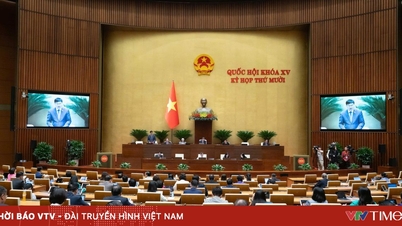 שידור חי: האסיפה הלאומית דנה בדוחות עבודה תקופתיים