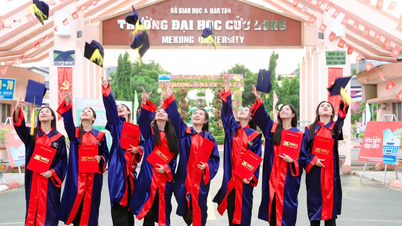 มาตรฐานวิชาชีพอาจารย์มหาวิทยาลัย: รากฐานสำหรับการพัฒนาคุณภาพการฝึกอบรม