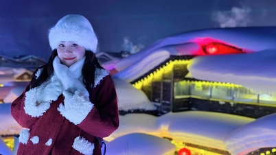 विदेश में बर्फ देखने के दौरे की लागत 6.5 मिलियन VND से शुरू, वियतनामी ग्राहक 'लगातार बुकिंग' कर रहे हैं