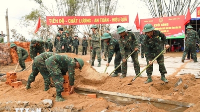 Wilayah membangunkan rancangan 'Kempen Quang Trung' dan melaporkan kemajuan setiap minggu